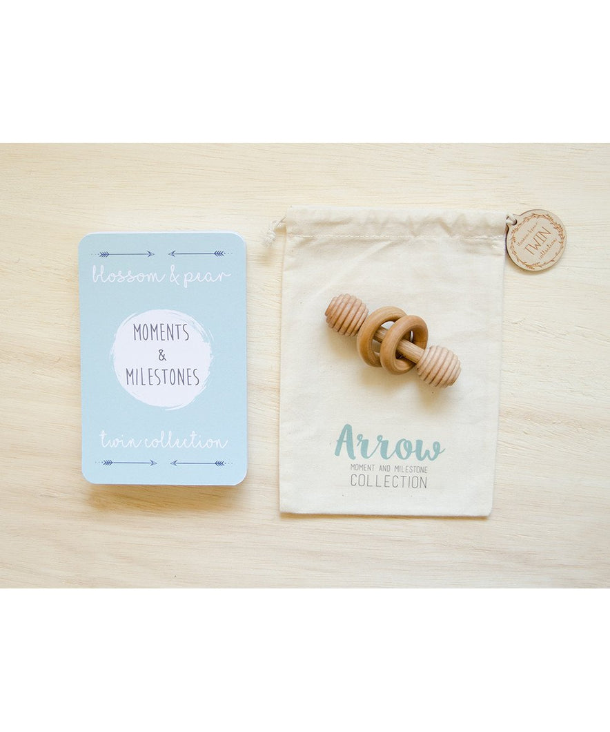 Twin Arrow Collection Baby Milestone Cards