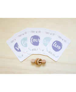 Twin Arrow Collection Baby Milestone Cards