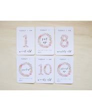 Posey Collection Baby Milestone Cards