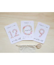 Posey Collection Baby Milestone Cards